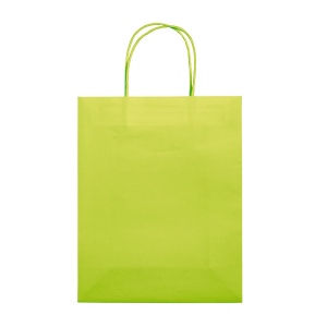 Sac papier Eco moyen 120g/m² 22