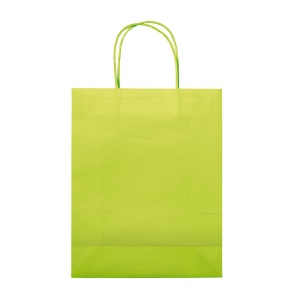 Sac papier Eco moyen 120g/m² 23