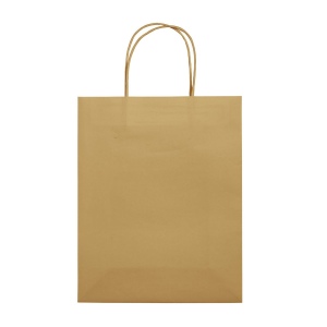 Sac papier Eco moyen 120g/m² 24