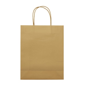 Sac papier Eco moyen 120g/m² 25