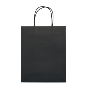 Sac papier Eco moyen 120g/m² 12