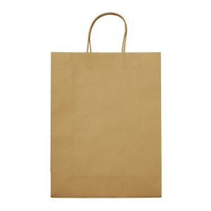 Sac papier Look Eco Grand 120g/m² 25