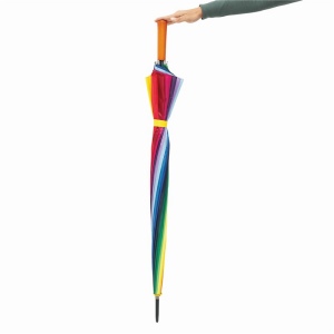 Parapluie golf RAINBOW SKY 12