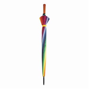 Parapluie golf RAINBOW SKY 4