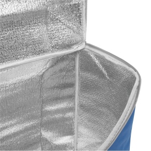 Sac isotherme FROSTY 10