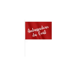Drapeau polyester 15x10 cm 3