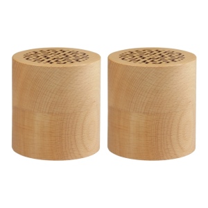 Enceintes (2) BT WOODSTOK 2