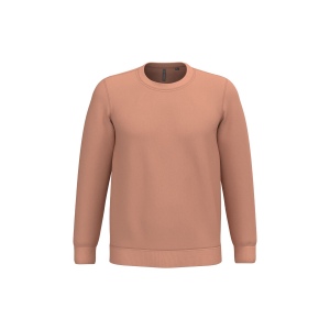 Sweat-shirt col rond unisexe 38