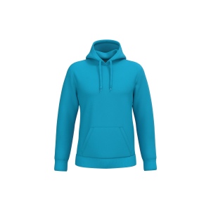 Sweat-shirt capuche homme 33