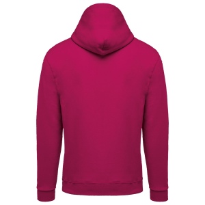 Sweat-shirt zippé capuche unisexe 37