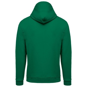 Sweat-shirt zippé capuche unisexe 38