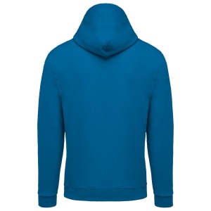 Sweat-shirt zippé capuche unisexe 43