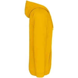 Sweat-shirt zippé capuche unisexe 53