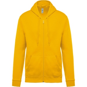 Sweat-shirt zippé capuche unisexe 11