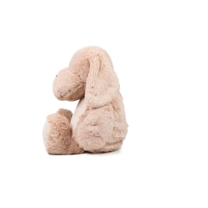 Chien avec ouverture zippée 4