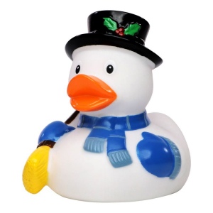 Canard hiver MBW 4