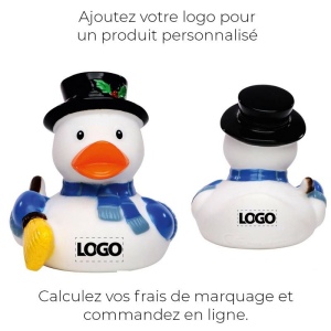Canard hiver MBW 6