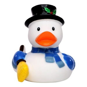 Canard hiver MBW 2