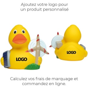 Canard métier divers MBW 6