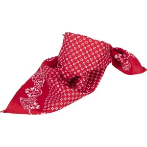 Bandana carré Daiber 2