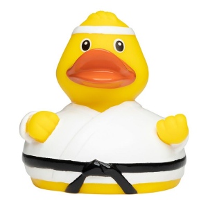 Canard sport MBW 4