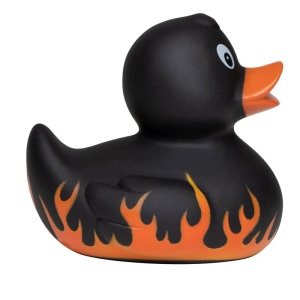 Canard fête MBW 4