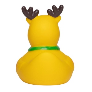 Canard hiver MBW 3