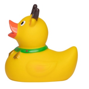 Canard hiver MBW 4