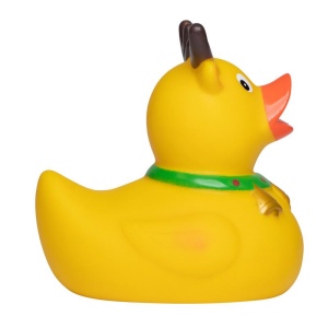 Canard hiver MBW 5
