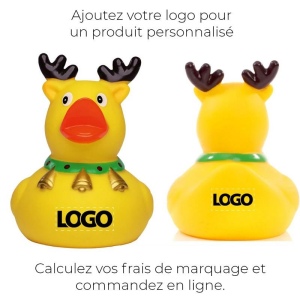 Canard hiver MBW 6