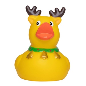Canard hiver MBW 2
