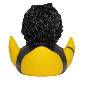 Canard fête MBW 4