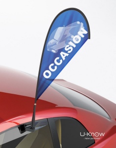 Drapeau Fixé sur Vitre de Voiture 2
