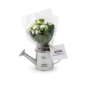 Plante fleurie pot zinc arrosoir 2