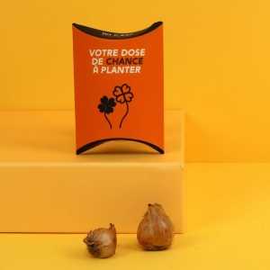 Berlingot Trèfle 4 feuilles
