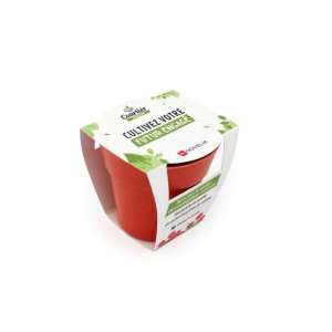 Kit plantation Pot Bambou 2