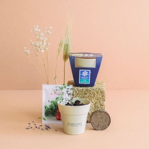 Kit plantation Pot Bambou 3