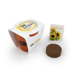 Kit  plantation terre cuite Ø10 cm 2
