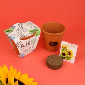 Kit  plantation terre cuite Ø10 cm