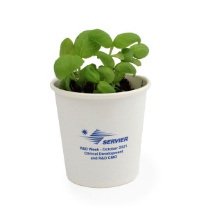 Kit plantation Pot Carton 2