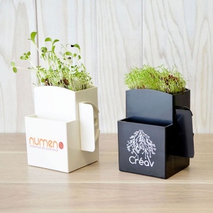 Vegetal Box graines 2