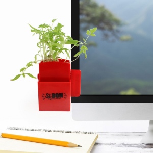 Vegetal Box graines 3