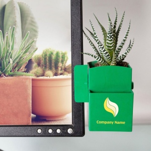 Végétal box plante 2