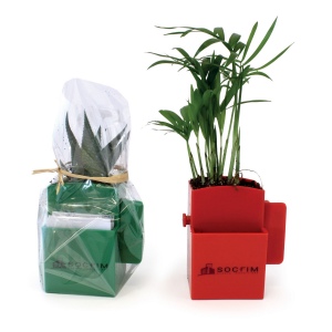 Vegetal box plante