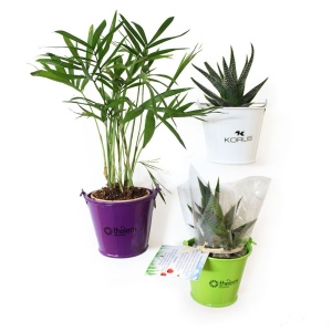 Plante pot zinc aimanté 2