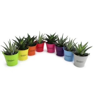 Plante pot zinc aimanté 3