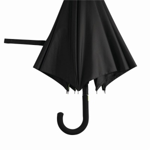 Parapluie automatique CANCAN 38