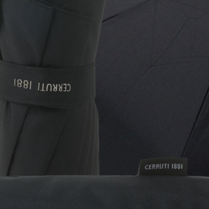 Parapluie de poche Hamilton Black 2