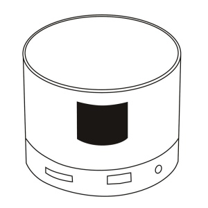 Haut parleur sans fil NEW LIBERTY 25