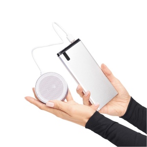 Powerbank INDICATOR 12